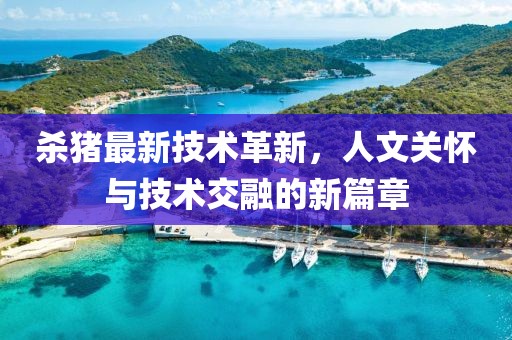 杀猪最新技术革新，人文关怀与技术交融的新篇章