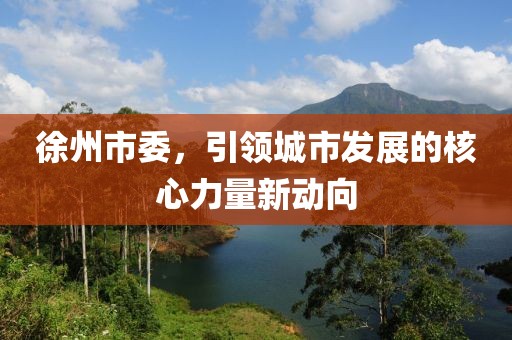 徐州市委，引领城市发展的核心力量新动向