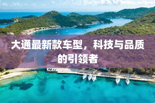 大通最新款车型，科技与品质的引领者