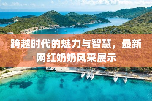 跨越时代的魅力与智慧，最新网红奶奶风采展示