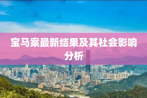 宝马案最新结果及其社会影响分析