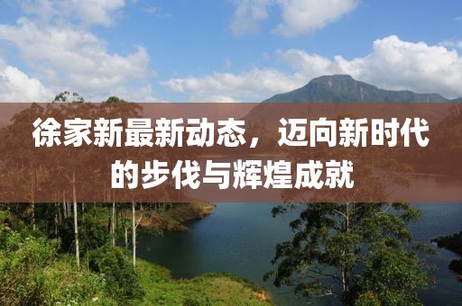 徐家新最新动态，迈向新时代的步伐与辉煌成就