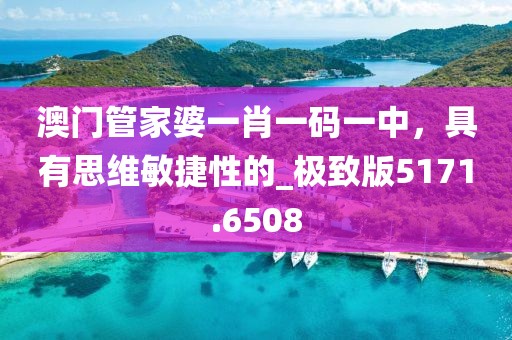 澳门管家婆一肖一码一中，具有思维敏捷性的_极致版5171.6508