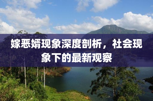 嫁恶婿现象深度剖析，社会现象下的最新观察