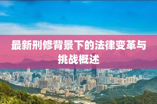 最新刑修背景下的法律变革与挑战概述