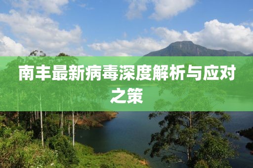 南丰最新病毒深度解析与应对之策
