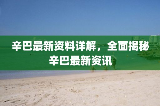 辛巴最新资料详解，全面揭秘辛巴最新资讯