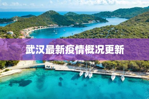 武汉最新疫情概况更新