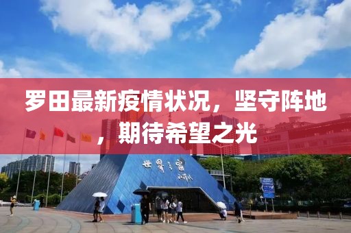 罗田最新疫情状况，坚守阵地，期待希望之光