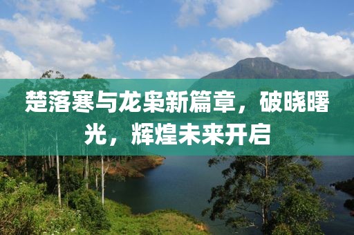 楚落寒与龙枭新篇章，破晓曙光，辉煌未来开启