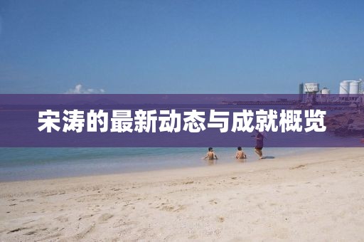 宋涛的最新动态与成就概览