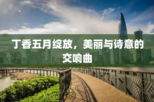丁香五月绽放，美丽与诗意的交响曲
