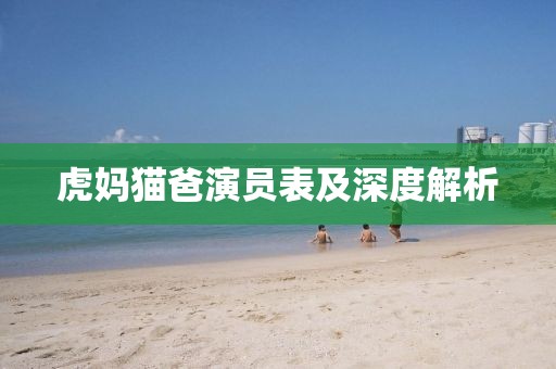 虎妈猫爸演员表及深度解析