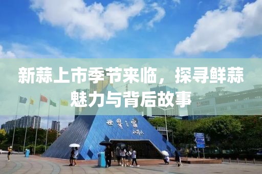 新蒜上市季节来临，探寻鲜蒜魅力与背后故事