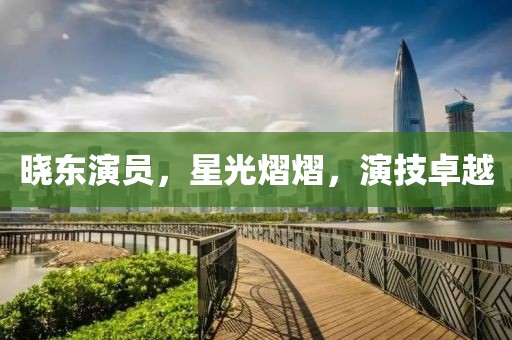 晓东演员，星光熠熠，演技卓越