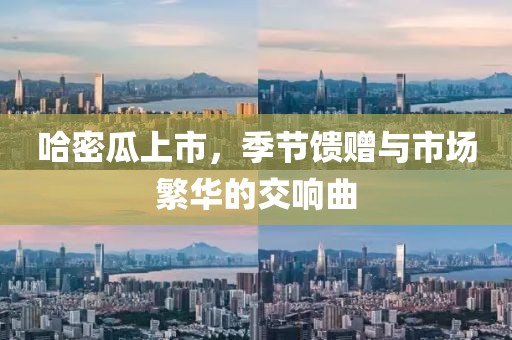 哈密瓜上市，季节馈赠与市场繁华的交响曲