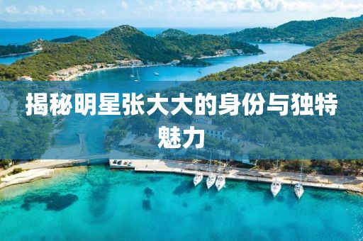 揭秘明星张大大的身份与独特魅力