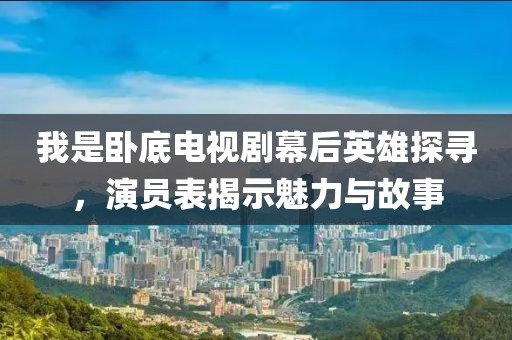 我是卧底电视剧幕后英雄探寻，演员表揭示魅力与故事
