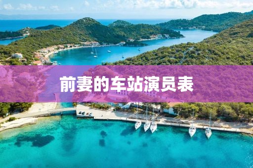 前妻的车站演员表