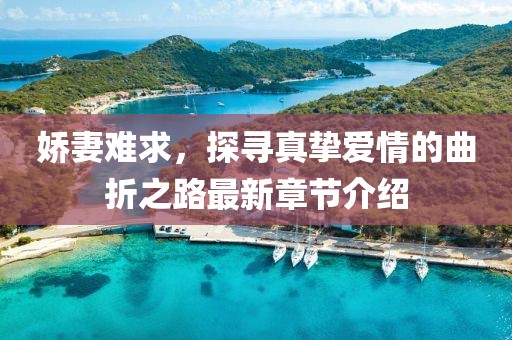 娇妻难求，探寻真挚爱情的曲折之路最新章节介绍