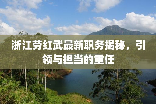 浙江劳红武最新职务揭秘，引领与担当的重任