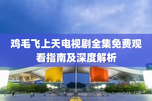 鸡毛飞上天电视剧全集免费观看指南及深度解析