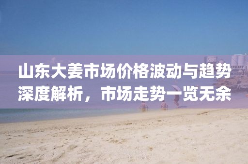 山东大姜市场价格波动与趋势深度解析，市场走势一览无余
