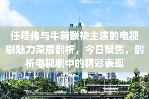任程伟与牛莉联袂主演的电视剧魅力深度剖析，今日聚焦，剖析电视剧中的精彩表现