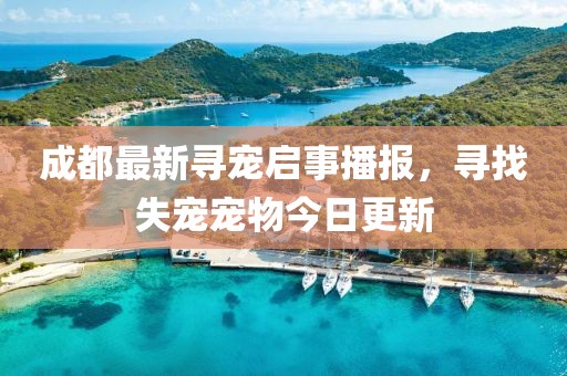 成都最新寻宠启事播报，寻找失宠宠物今日更新