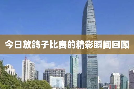 今日放鸽子比赛的精彩瞬间回顾