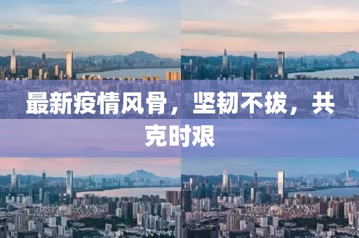 最新疫情风骨，坚韧不拔，共克时艰