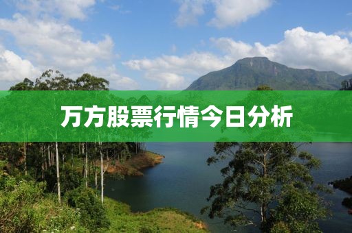 万方股票行情今日分析