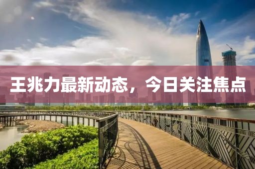 王兆力最新动态，今日关注焦点