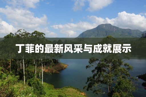 丁菲的最新风采与成就展示