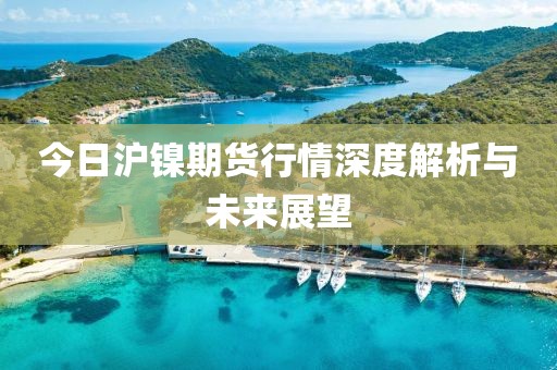 今日沪镍期货行情深度解析与未来展望