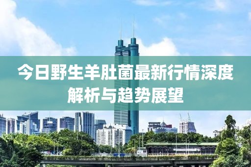 今日野生羊肚菌最新行情深度解析与趋势展望