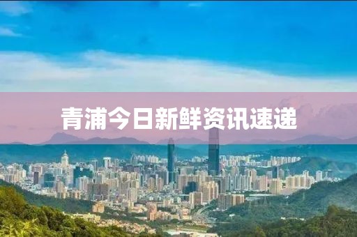 青浦今日新鲜资讯速递