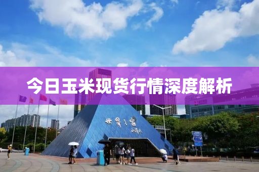 今日玉米现货行情深度解析