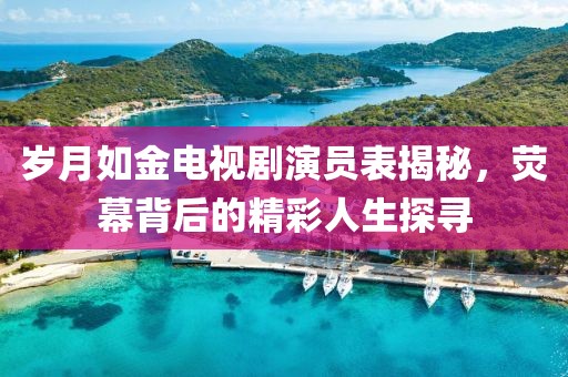 岁月如金电视剧演员表揭秘，荧幕背后的精彩人生探寻