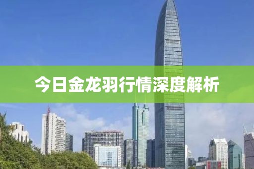 今日金龙羽行情深度解析