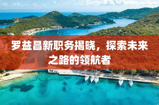 罗益昌新职务揭晓，探索未来之路的领航者