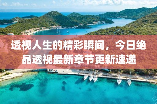 透视人生的精彩瞬间，今日绝品透视最新章节更新速递
