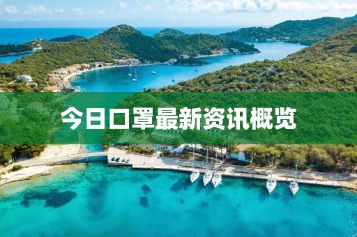 今日口罩最新资讯概览