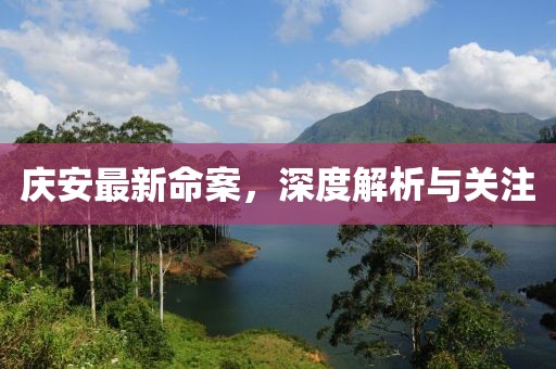 庆安最新命案，深度解析与关注