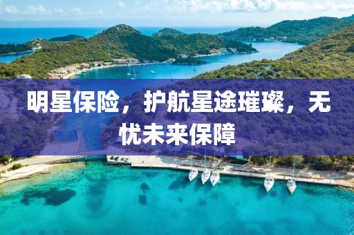 明星保险，护航星途璀璨，无忧未来保障