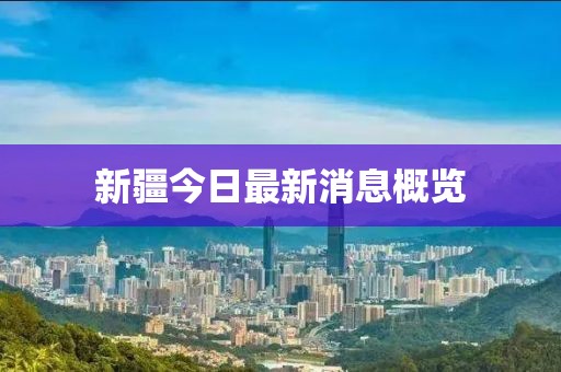 新疆今日最新消息概览