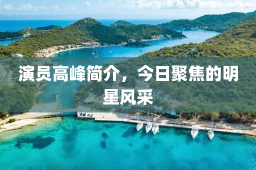 演员高峰简介，今日聚焦的明星风采
