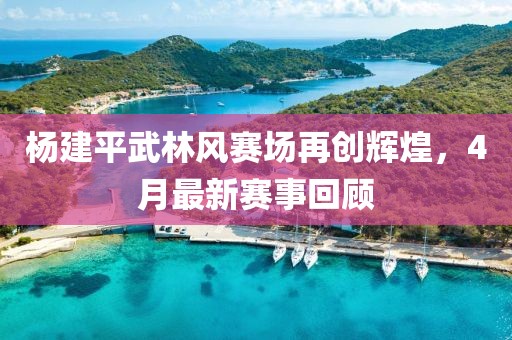 杨建平武林风赛场再创辉煌，4月最新赛事回顾