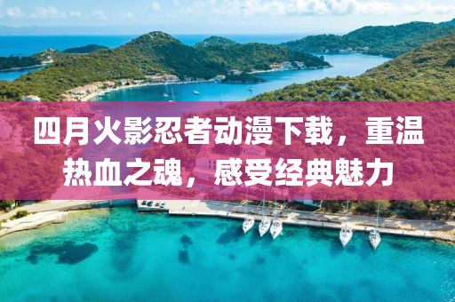 四月火影忍者动漫下载，重温热血之魂，感受经典魅力