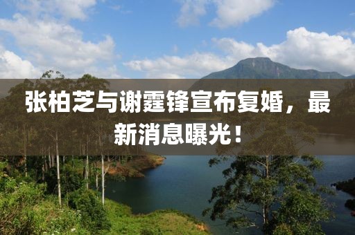 张柏芝与谢霆锋宣布复婚，最新消息曝光！